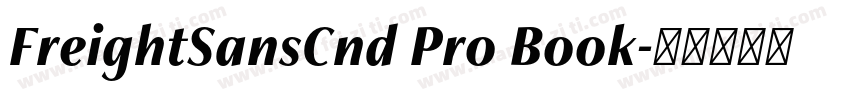 FreightSansCnd Pro Book字体转换